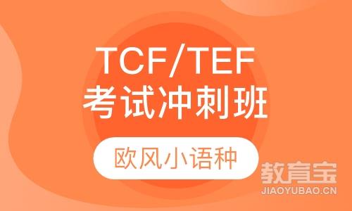 TCF/TEF考试冲刺班