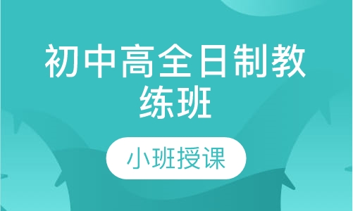 200TTC初中高全日制教练班