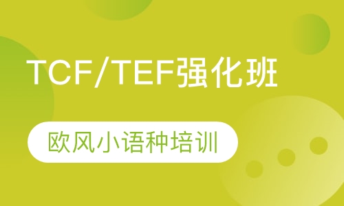 TCF/TEF强化班