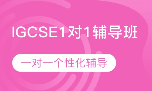 IGCSE1对1辅导班