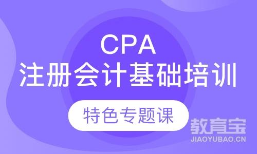 CPA注册会计基础培训
