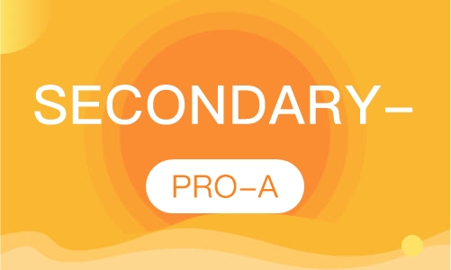 Secondary-PRO-A
