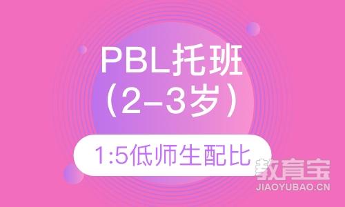 PBL托班（2-3岁）