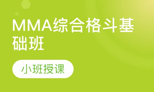 MMA综合格斗基础班