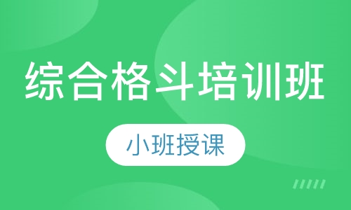 综合格斗培训班