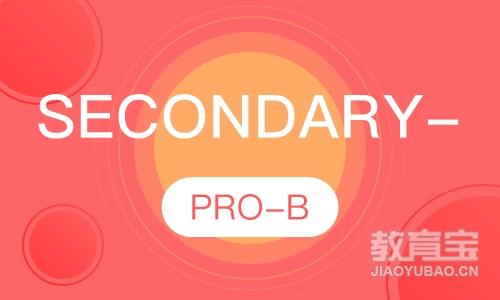 Secondary-PRO-B