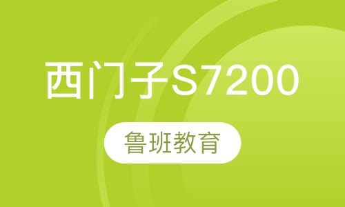 西门子S7200/smart/300/4