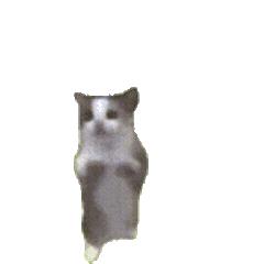 小猫跳舞.GIF