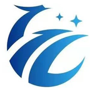 朗朗秦仪国际教育logo