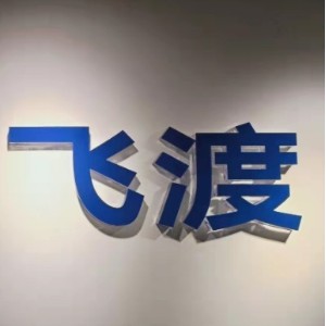 武汉飞渡教育logo