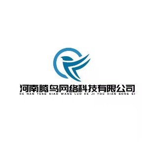 郑州腾鸟网络logo