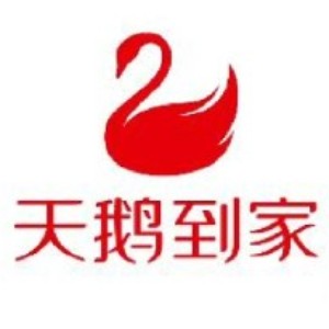 哈尔滨天鹅到家logo
