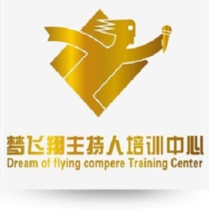 合肥梦飞翔培训logo
