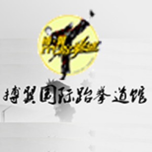 宁波搏翼国际跆拳道馆logo