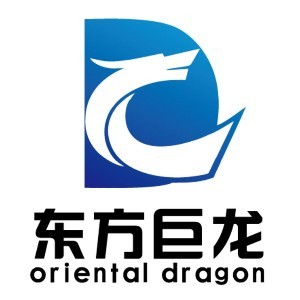 武汉东方巨龙教育logo