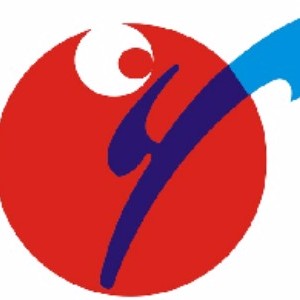 长沙市弘熙跆拳道logo