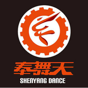 沈阳奉舞天舞蹈培训logo