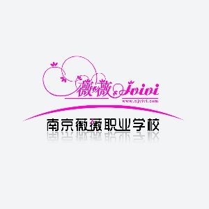 南京薇薇职业培训logo