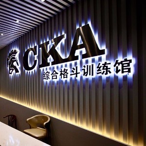 沈阳CKA综合格斗训练馆logo