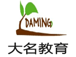 青岛大名教育咨询有限公司logo