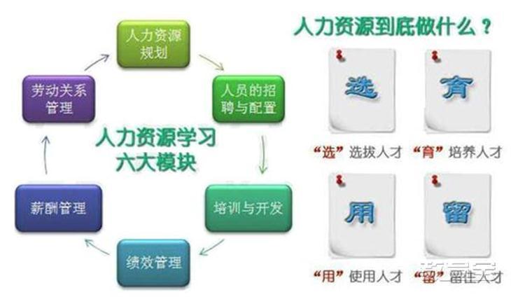 一級人力資源管理師培訓