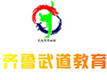 济南齐鲁武道教育logo