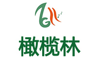 上海橄榄林文化艺术培训logo