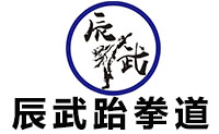 青岛辰武跆拳道logo