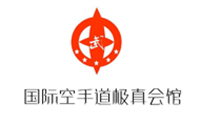 上海申华武术拳道馆logo
