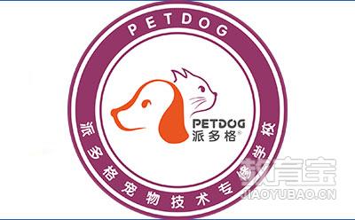 派多格宠物技术培训logo