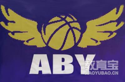 广州ABY篮球培训