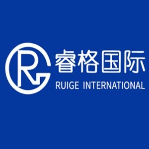 上海睿格国际教育logo