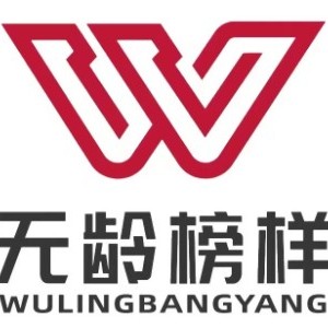 北京无龄榜样形体模特培训logo