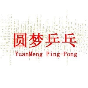 武汉圆梦乒乓logo