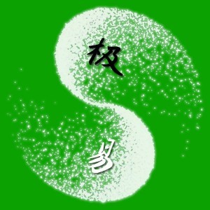 刘朝龙极易针灸培训logo