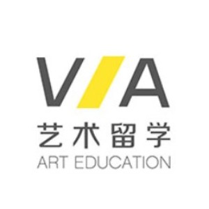 北京VA国际艺术教育logo