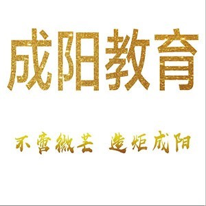 济南成阳报考通logo