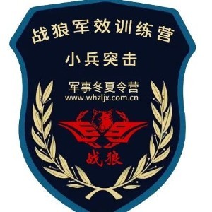 武汉战狼军效夏令营logo