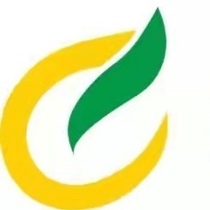 武汉春尔围棋培训logo