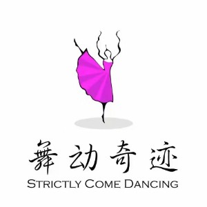 石家庄舞动奇迹舞蹈学校logo