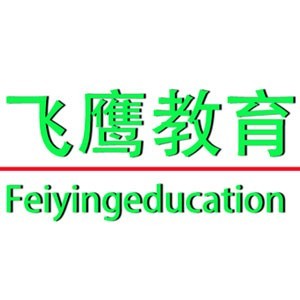 济南飞鹰教育升学规划logo