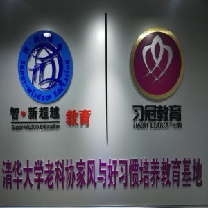 北京智新超越夏令营logo