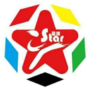  青岛星源跆拳道logo
