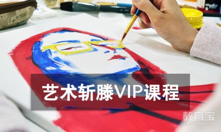 南京SIA·艺术斩藤VIP课程