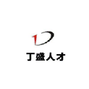 上海丁盛人才logo
