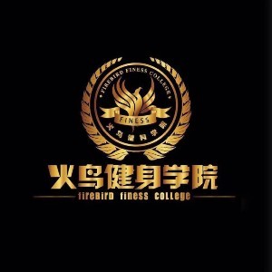 苏州火鸟体育健身培训logo
