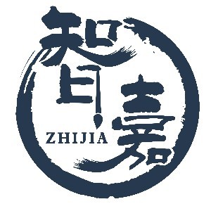 青岛智嘉艺术文化培训学校logo