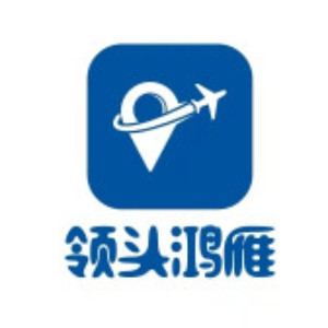 湖南领头鸿雁无人机培训基地logo