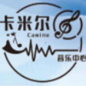 武汉卡米尔音乐中心logo