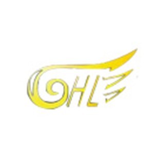 宁波市海丽职业培训学校logo